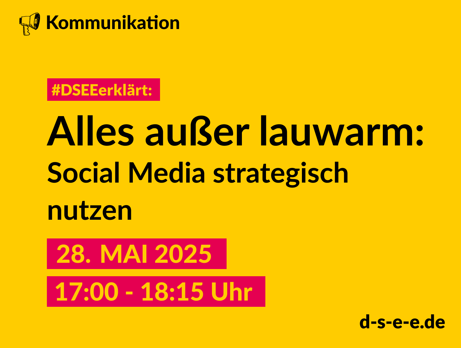 Aufzeichnung zum DSEEerklärt Online-Seminar